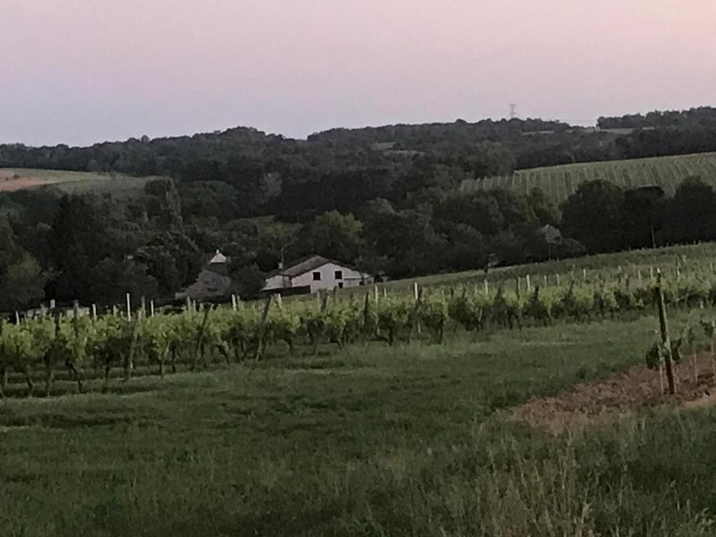 Les Granges Villa Les Lèves-et-Thoumeyragues Eksteriør bilde
